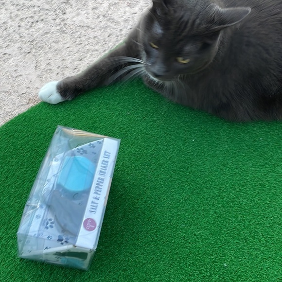 ❣️HOST PICK❣️ Cat and Fish Bowl Salt & Pepper Shakers - Picture 3 of 5